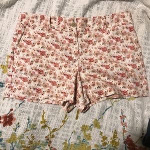 NWT 🌸🌺ANN TAYLOR SHORTS🌸🌺